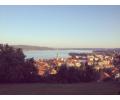 Арона